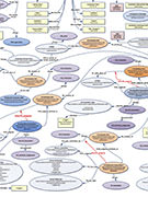 Contextual data map