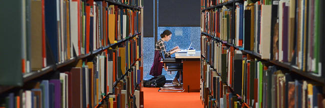 Studying in the Robert B. Haas Family Arts Library