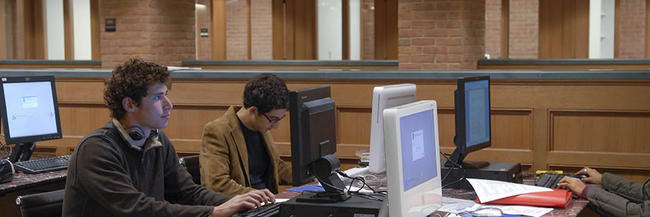 Students using the computers in the Anne T. and Robert M. Bass Library