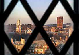 Campus view through diamond-paned window