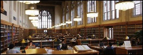 Haas Library Study Room Haas Library Study Room