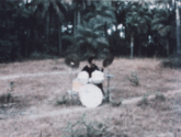 Tony Williams plays a drum kit in Senegal in a field with palm trees behind him